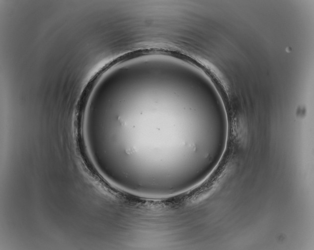 X0000091340983200708171407