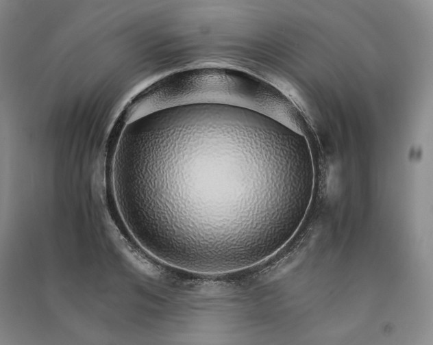 X0000091340984200708171407