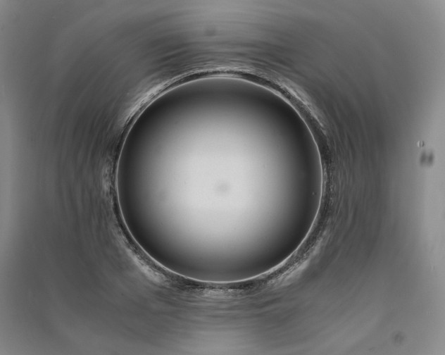 X0000091340985200708171407