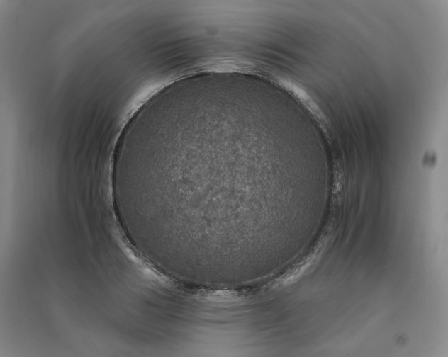 X0000091340986200708171407