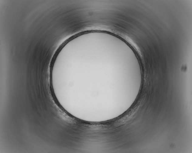 X0000091340988200708171407