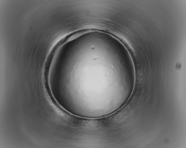 X0000091340991200708171407