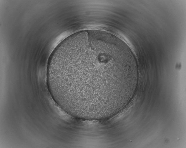 X0000091340994200708171407