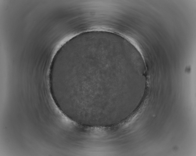 X0000091340995200708171407