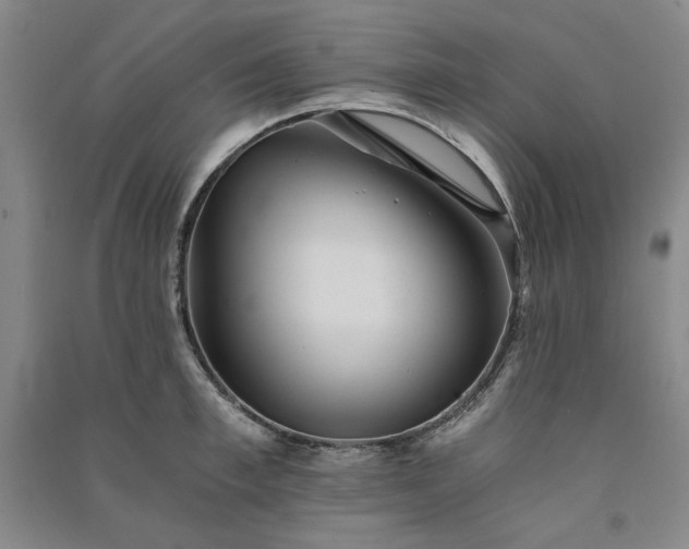 X0000091340997200708171407