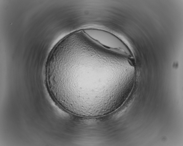 X0000091340999200708171407