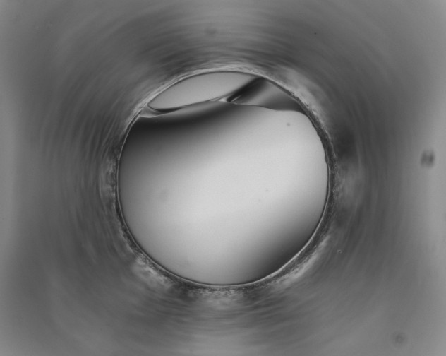 X0000091341001200708171407