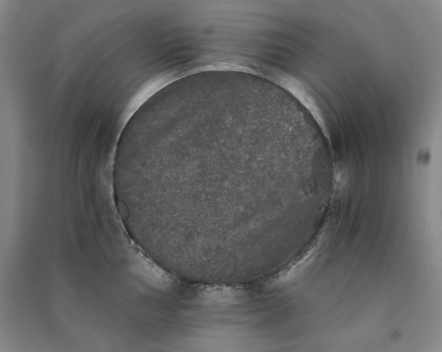 X0000091341002200708171407