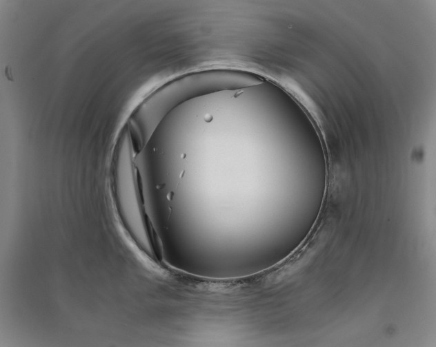 X0000091341005200708171407