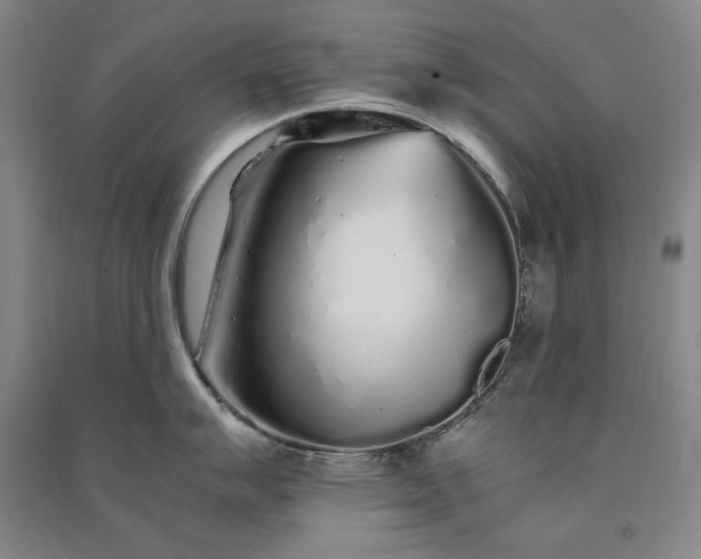 X0000091341007200708171407