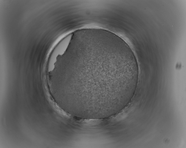 X0000091341008200708171407