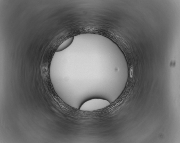 X0000091341011200708171406