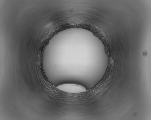 X0000091341012200708171406