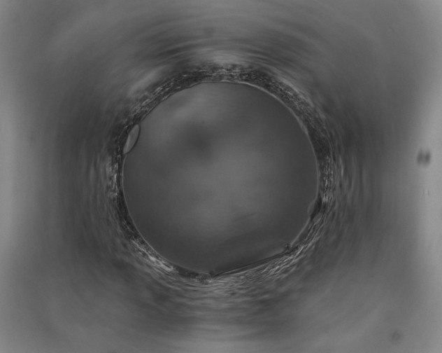 X0000091341013200708171406