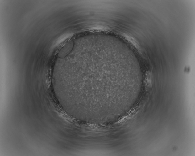 X0000091341015200708171406