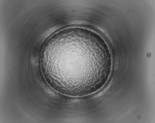 X0000091341017200708171407