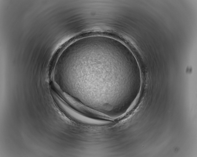 X0000091341018200708171407