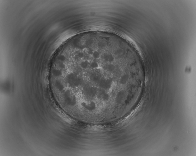 X0000091341019200708171407