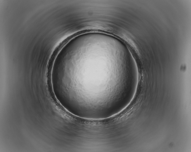 X0000091341020200708171407