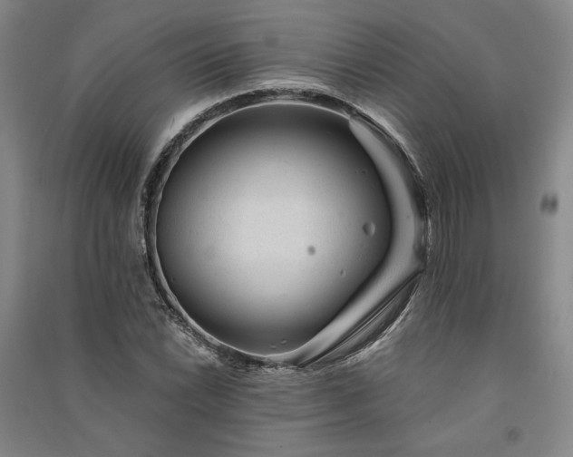 X0000091341022200708171407