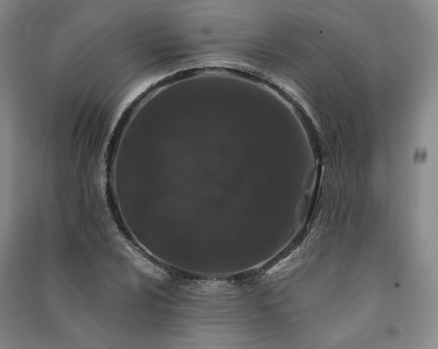 X0000091341024200708171407