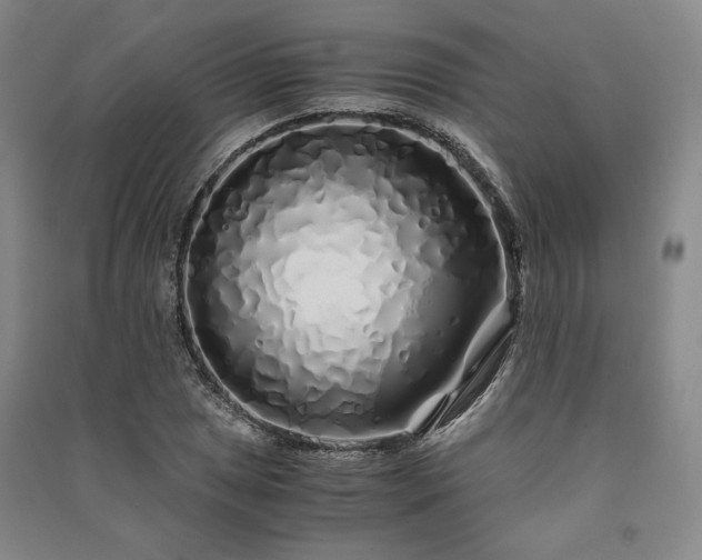 X0000091341025200708171407