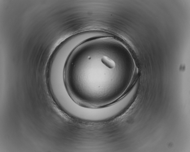 X0000091341026200708171407