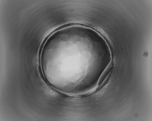 X0000091341028200708171407