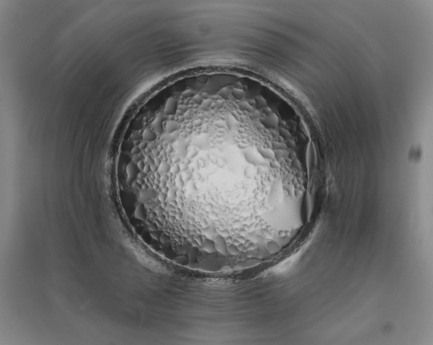 X0000091341029200708171407