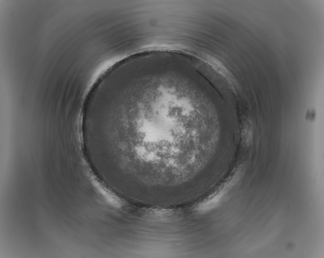 X0000091341030200708171407