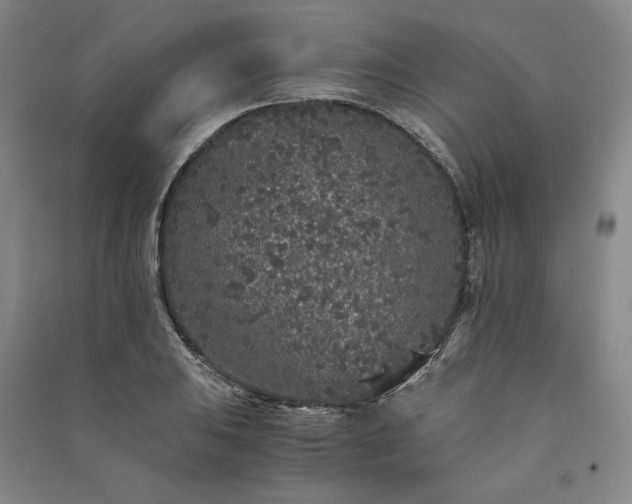 X0000091341031200708171407