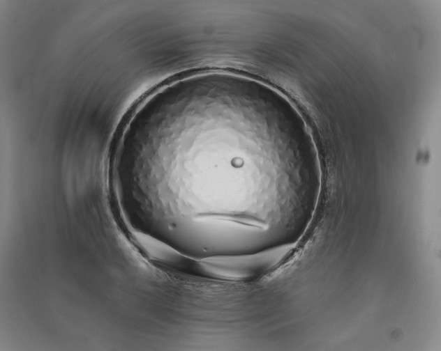 X0000091341032200708171407