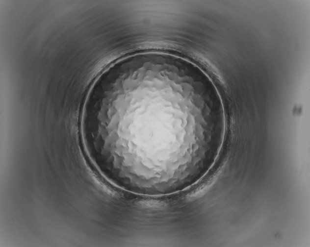 X0000091341033200708171407