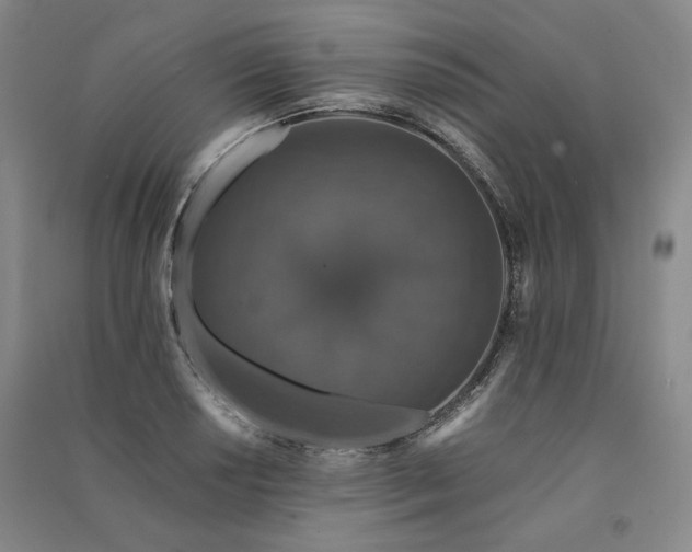 X0000091341034200708171407