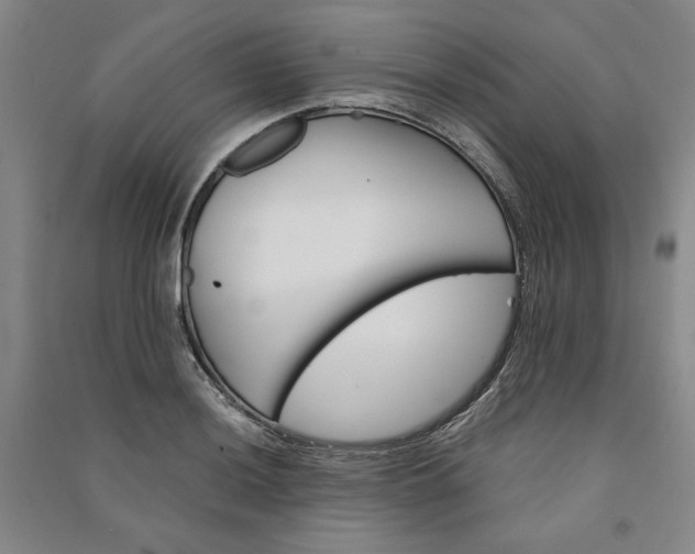 X0000091341036200708171407