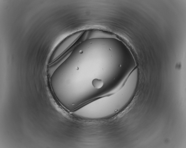 X0000091341038200708171407