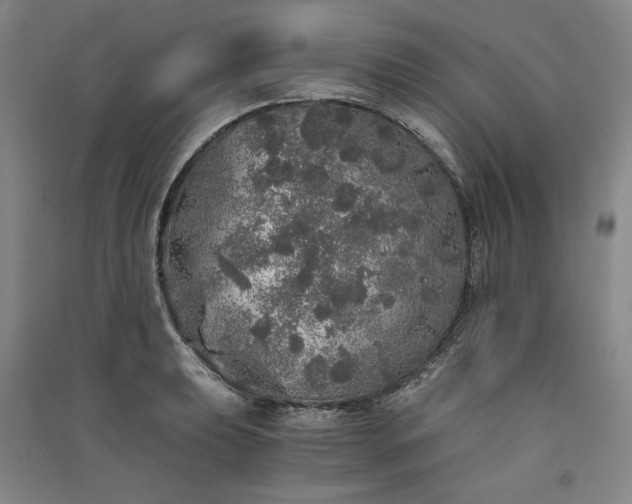 X0000091341039200708171407