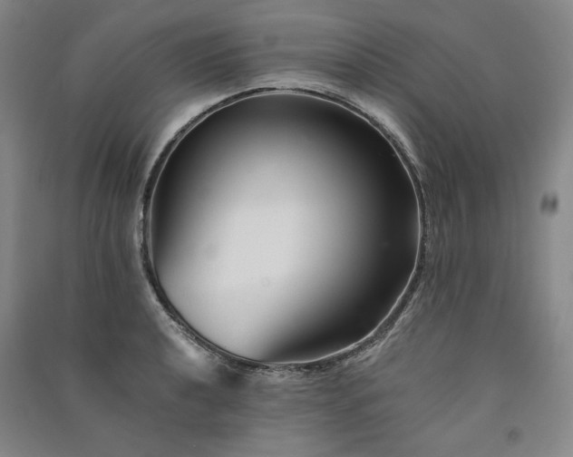 X0000091341040200708171407