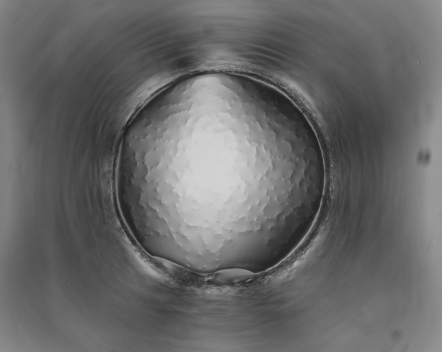 X0000091341041200708171407