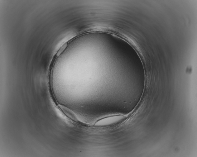 X0000091341042200708171407