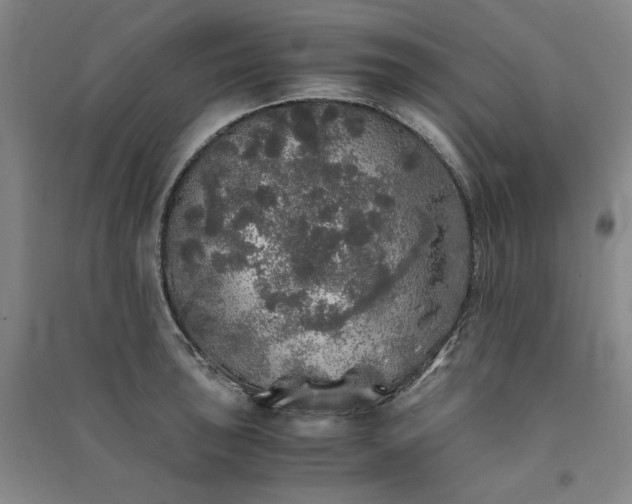 X0000091341043200708171407