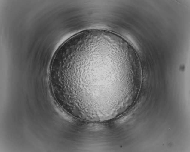 X0000091341044200708171407