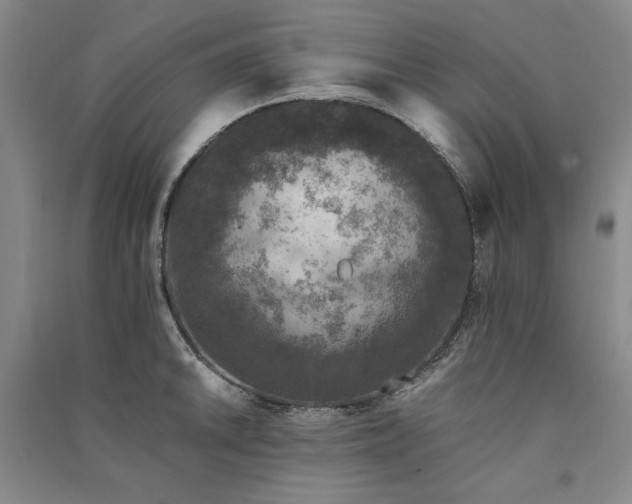 X0000091341046200708171407