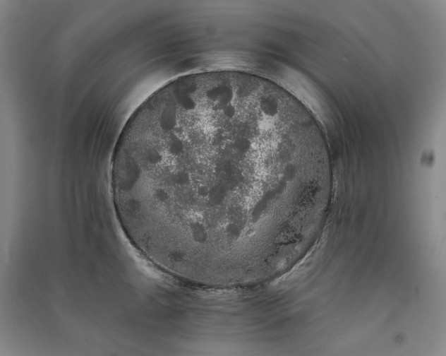 X0000091341047200708171407