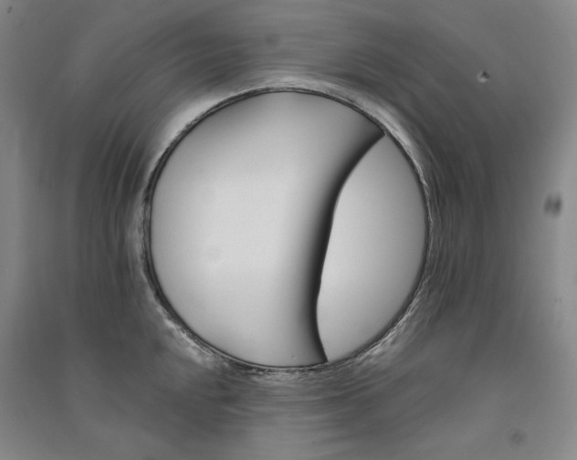 X0000091341048200708171407