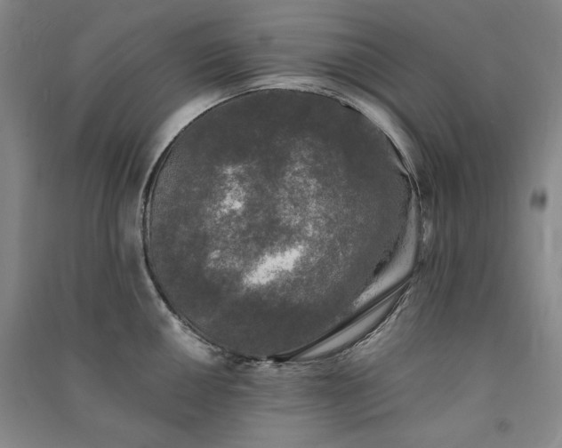 X0000091341050200708171407