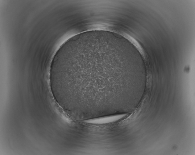 X0000091341051200708171407