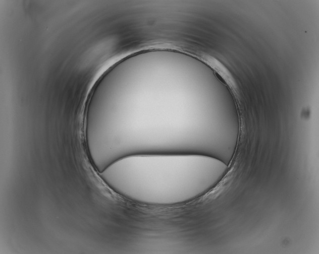 X0000091341052200708171407