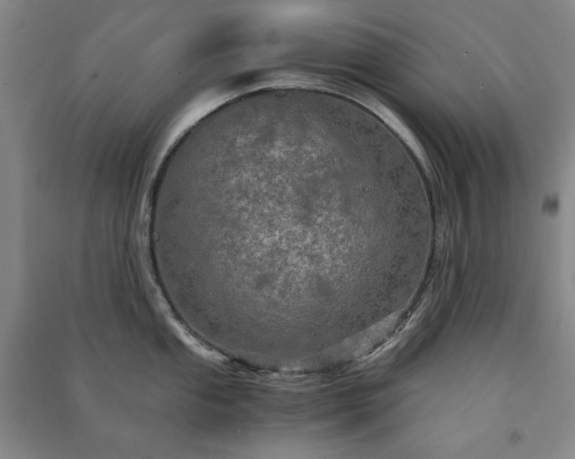 X0000091341053200708171407