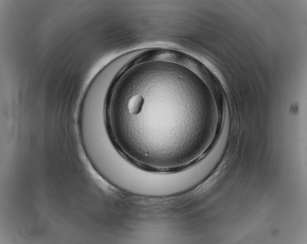 X0000091341054200708171407